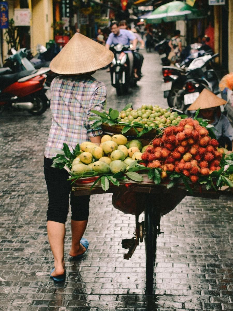 Hanoi fruit merchant