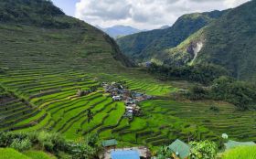 Trek UNESCO rice terraces in Banaue and Hapao